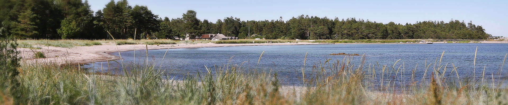 Beach Ljugarn